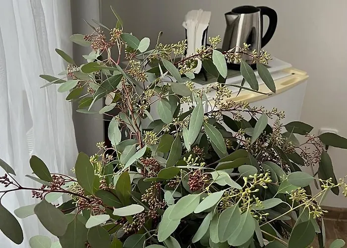 Gasthof Marjana